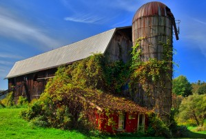 Slaterville farm